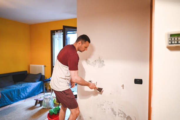 Best Attic Mold Removal  in Plains, KS